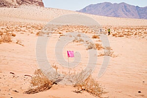 Wadi rum, Jordan - 5th October, 2022: flag and Athlete competitors fast walk in desert pass markings on extreme hot in challenging