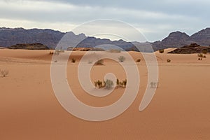 Wadi Run Desert, Jordan Travel, Nature