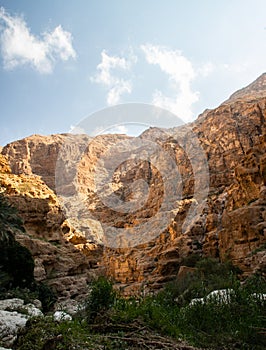 Wadi Shaab, nature of Oman