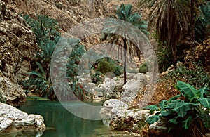 Wadi Shab photo