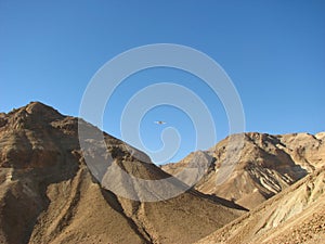 Wadi Zeelim. Judean Desert