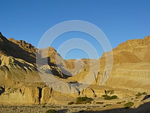 Wadi Zeelim. Judean Desert