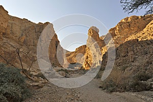 Wadi Zohar canyon, Judea desert.