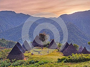 Wae Rebo traditional village with a mountainous backdrop in the morning. photo