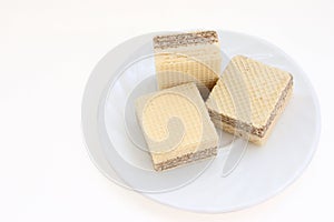 Wafers on a plate