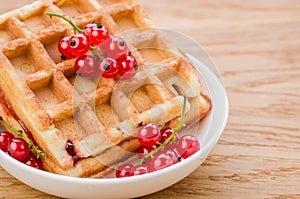 Wafers with red berries in a white plate/wafers with red berries in a white plate. Close up