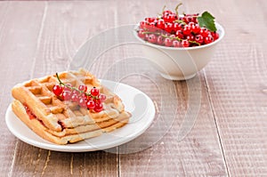 Wafers with red berries in a white plate on a wooden table/wafers with red berries in a white plate on a wooden table. Selective