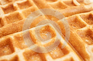 Waffle