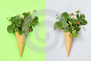 Waffle cone with leaves, flowers and strawberries on a green and grey background. Flat lay. A concept photo is an original gift.