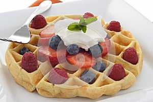 Waffle with Fruit photo