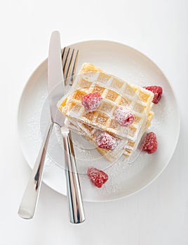 Waffle with raspberry and icing sugar