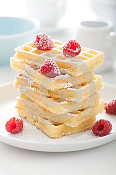 Waffle with raspberry and icing sugar