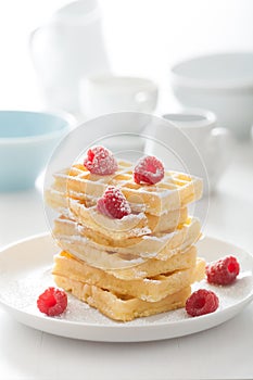 Waffle with raspberry and icing sugar