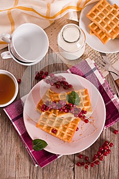 Waffle with red currant and honey.