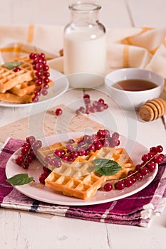 Waffle with red currant and honey.