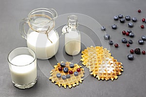 Waffles and berries on table. Milk in glass. Milk in glass bottle and in jug