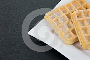 Waffles with powder on a white plate on the right side with copy