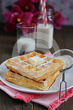 Waffles with powered sugar