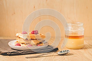 Waffles With raspberry in plate/Homemade waffles with raspberry in plate, honey on a wooden background, selective focus