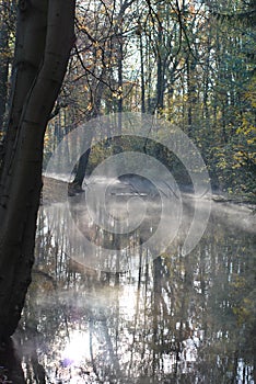 Morning in forest - fog on a river
