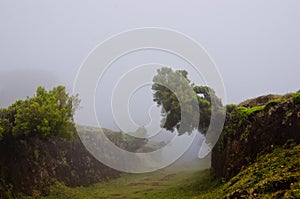 Wafts of mist are laying upon the highland of Madeira. They are coming into a defile and generate a spooky atmospere photo