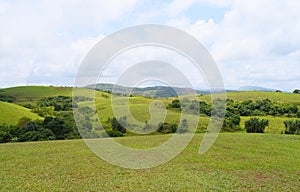 Wagamon Hills - Green Fields against Sky in Idukki, Kerala, India