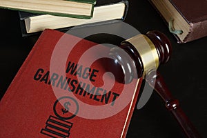 Wage garnishment is shown using the text