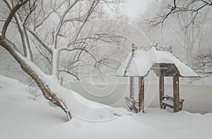 Wagner Cove and gazebo in the snow, Central Park,