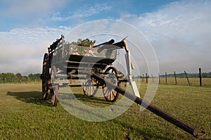 Wagon photo