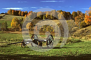 Wagon in Field