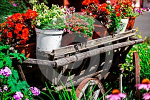 Wagon with flower pots on a sunny summer day