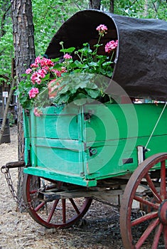 Wagon with Flowers