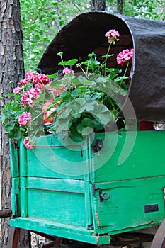 Wagon full of flowers