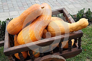 Wagon full of pumpkins