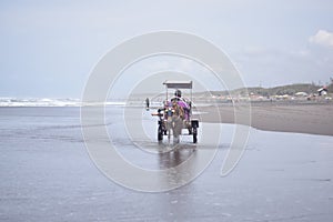 A wagon or horse-drawn carriage located on Parangtritis Beach, Yogyakarta, Central Java, Indonesia.