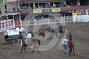 Wagon and horses, race track, Calgary