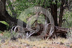 Wagon Remains photo