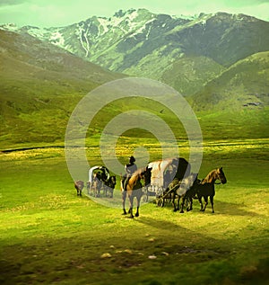 Wagon train on green fields