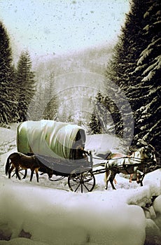 Wagon under the snow