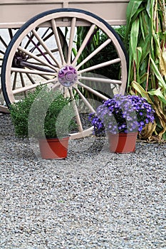 Wagon Wheel and Flower Pots