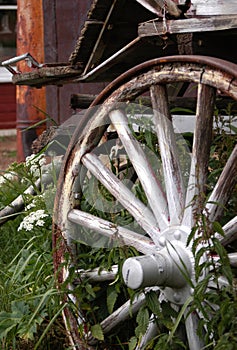 Wagon Wheel and flowers