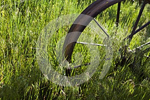 Wagon wheel in grass at ranch