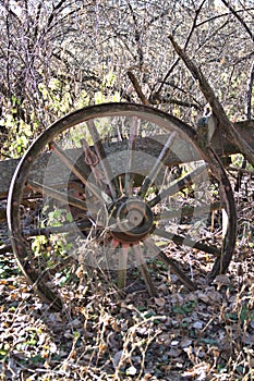 wagon wheel, landscape, wooden, wagon, spoke, old, vintage, rustic, overgrown, farm, farming, pioneer, west, antique, broken down