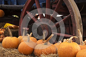 Wagon Wheel and Pumpkins