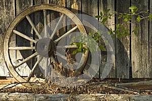 Wagon wheel with shadows