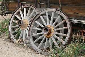 Wagon Wheels