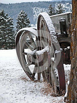 Wagon Wheels