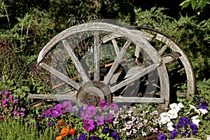 Wagon wheels in flower garden