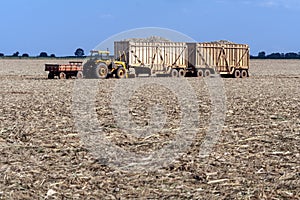 Wagons loaded with sugar cane are waiting to be transported in a freshly harvested field