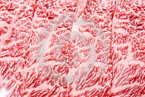 Wagyu beef marbled meat